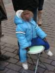 majmun01_small.jpg