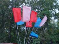 dsc08104_small.jpg