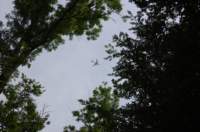 dsc_1087_small.jpg