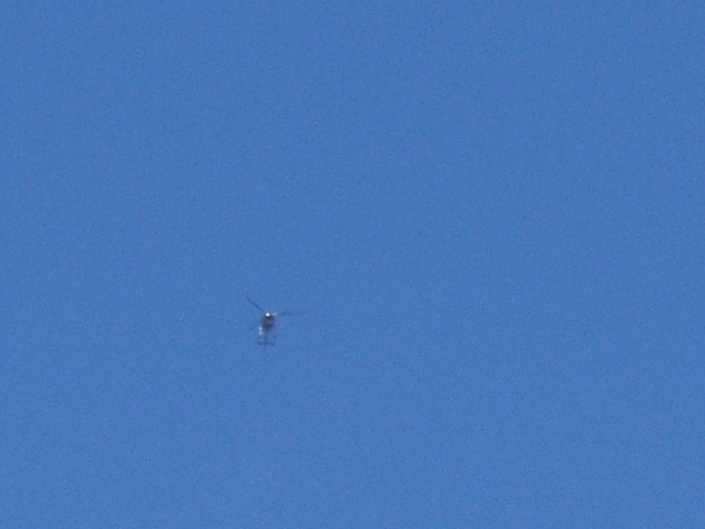 p3180061.jpg