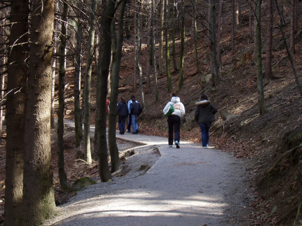 p3180063.jpg