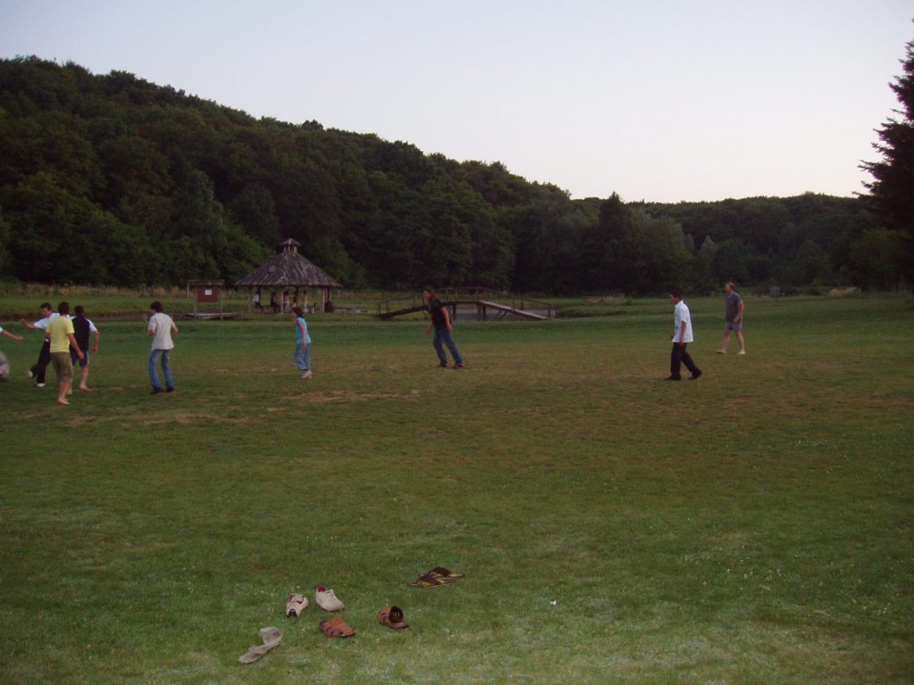 p6230255.jpg