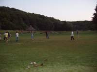 p6230255_small.jpg