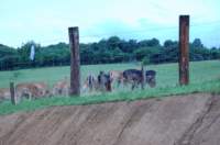 dsc_1105_small.jpg