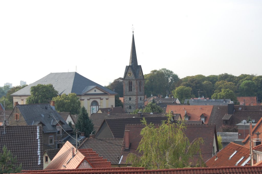 dsc_0409.jpg