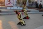 dsc_0491_small.jpg